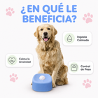 Plato lamedor antiestrés YoguiPet celeste para perros con bolita giratoria, muchos beneficios
