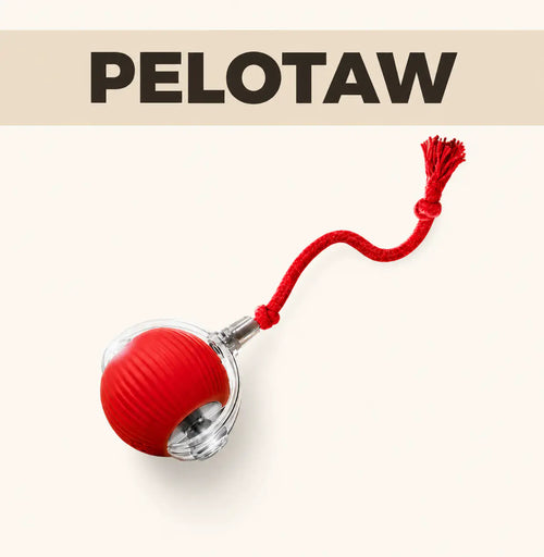Pelotaw pelota con movimiento inteligente y carga USB para perros