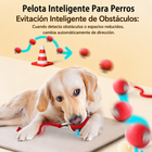 Pelotaw | Pelota con movimiento inteligente