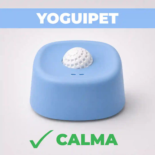 Plato lamedor antiestrés YoguiPet celeste para perros con bolita giratoria