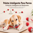 Perro jugando con la pelota automática Pelotaw en casa