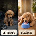YoguiPet plato lamedor antiestrés disponible en varios colores