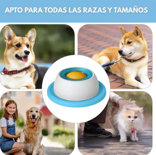 YoguiPet Comedor lento para perros y gatos