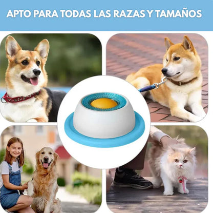 YoguiPet Comedor lento para perros y gatos
