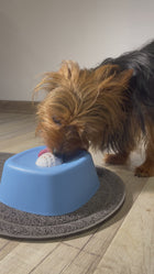 YoguiPet | Plato Lamedor Antiestrés para Perros y Gatos