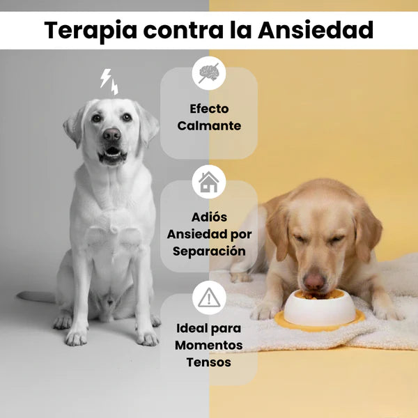 YoguiPet Comedor lento para perros y gatos