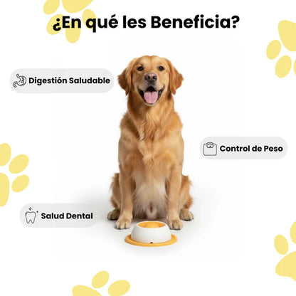 YoguiPet Comedor lento para perros y gatos